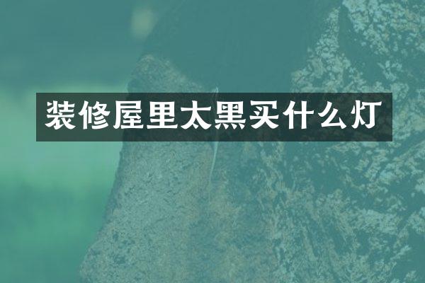装修屋里太黑买什么灯