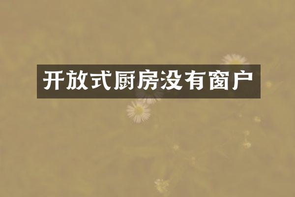 开放式厨房没有窗户