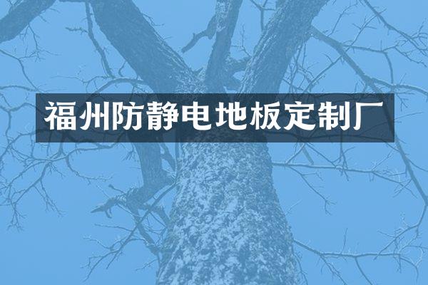 福州防静电地板定制厂
