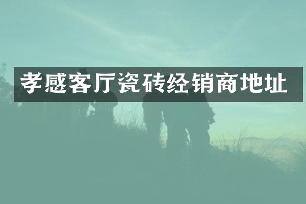 孝感客厅瓷砖经销商地址