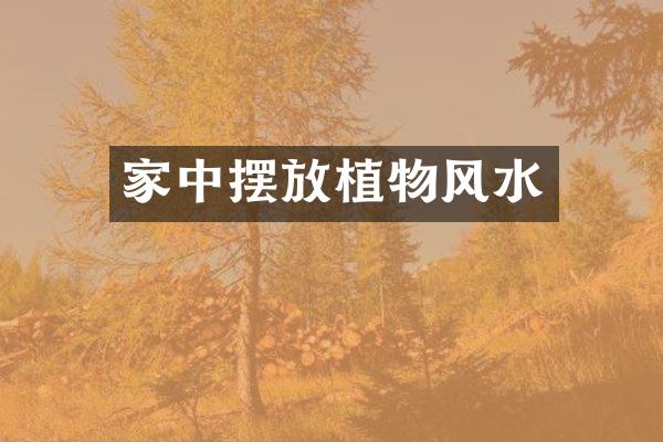 家中摆放植物风水