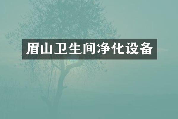 眉山卫生间净化设备
