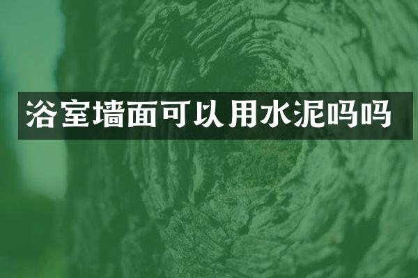 浴室墙面可以用水泥吗吗