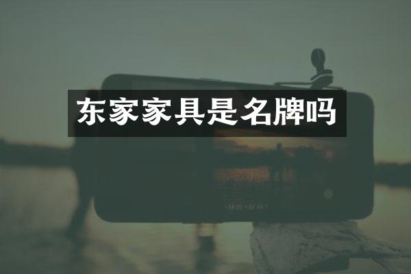 东家家具是名牌吗