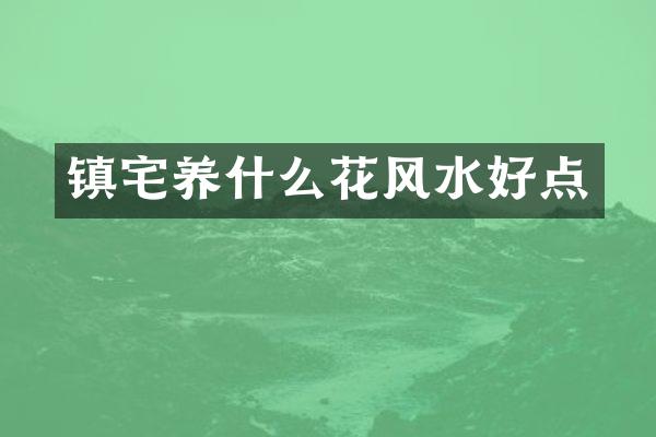 镇宅养什么花风水好点