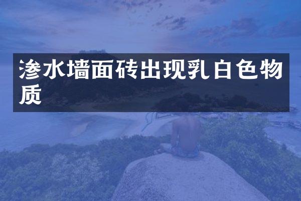渗水墙面砖出现乳白色物质