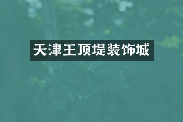 天津王顶堤装饰城