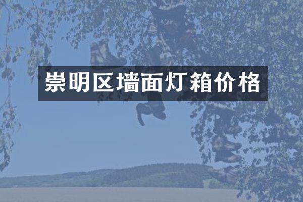 崇明区墙面灯箱价格