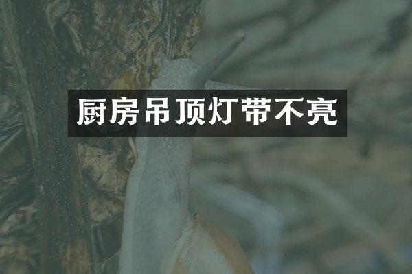 厨房吊顶灯带不亮