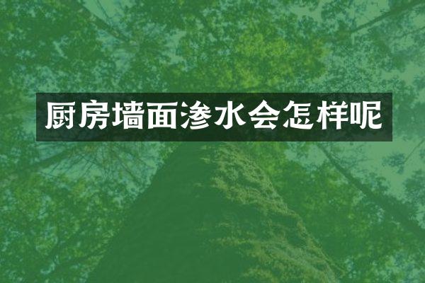 厨房墙面渗水会怎样呢
