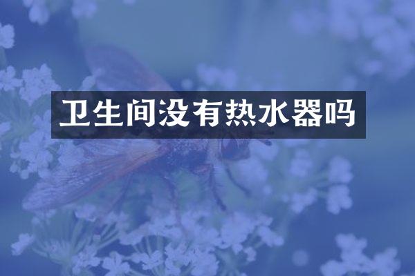 卫生间没有热水器吗