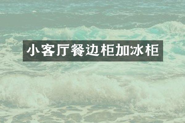 小客厅餐边柜加冰柜