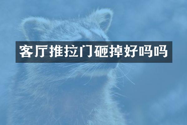 客厅推拉门砸掉好吗吗
