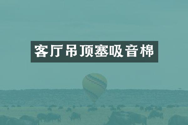 客厅吊顶塞吸音棉