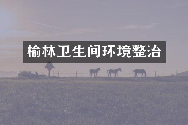 榆林卫生间环境整治