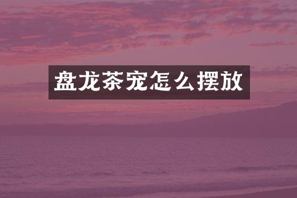 盘龙茶宠怎么摆放