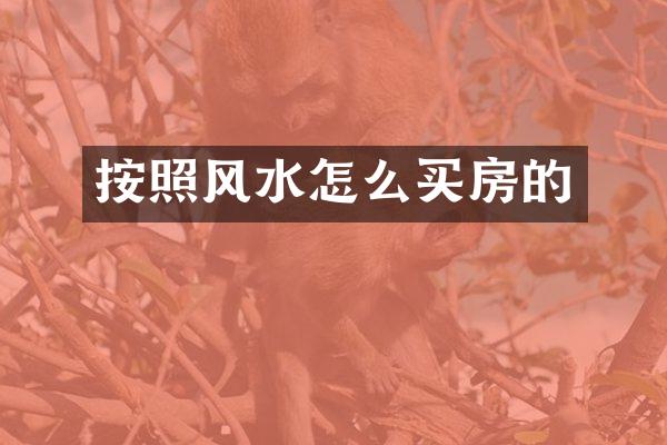 按照风水怎么买房的