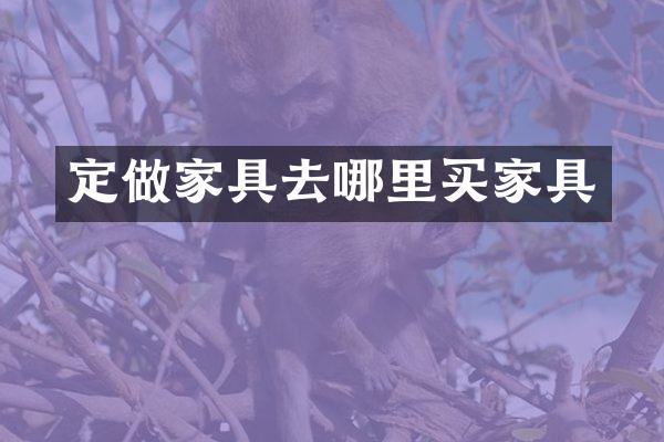 定做家具去哪里买家具