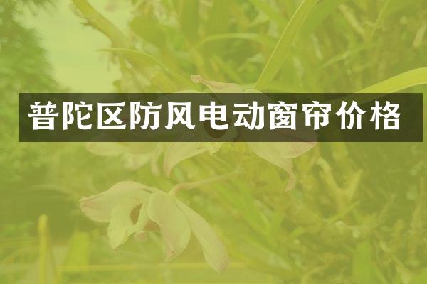 普陀区防风电动窗帘价格