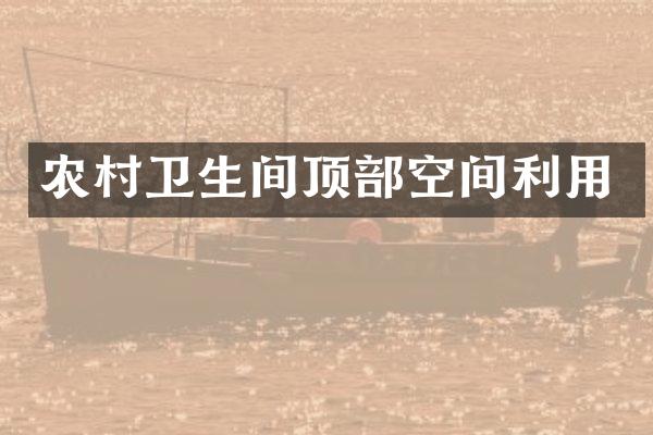 农村卫生间顶部空间利用