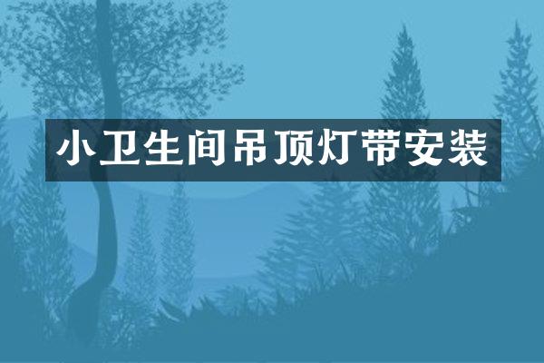 小卫生间吊顶灯带安装