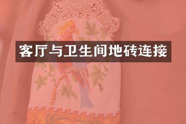 客厅与卫生间地砖连接