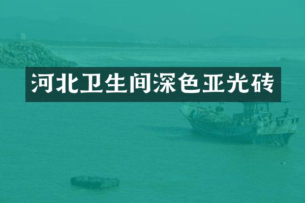 河北卫生间深色亚光砖
