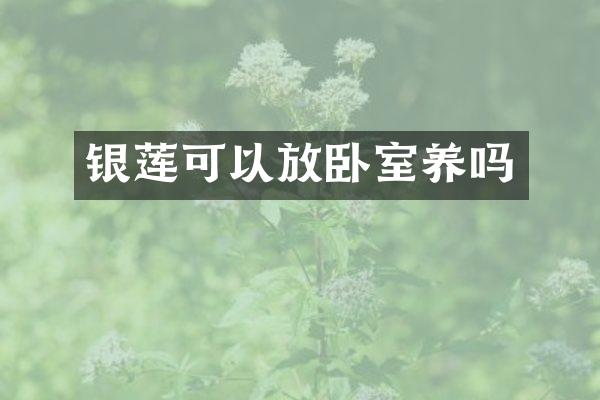 银莲可以放卧室养吗