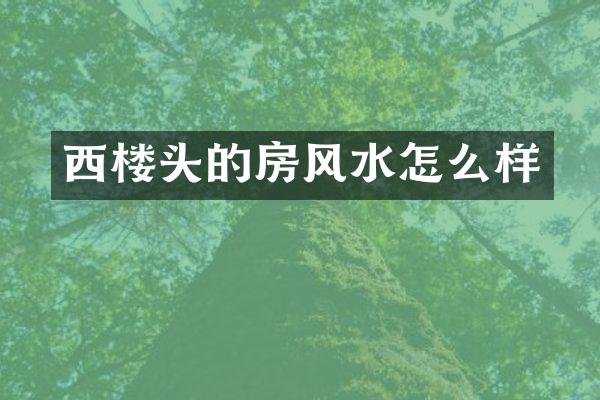 西楼头的房风水怎么样