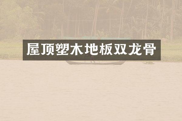 屋顶塑木地板双龙骨