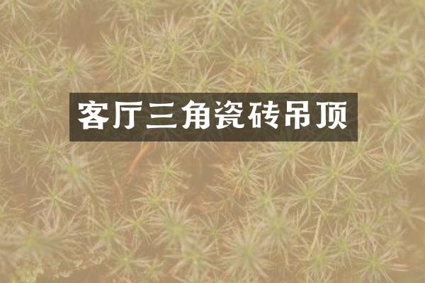 客厅三角瓷砖吊顶