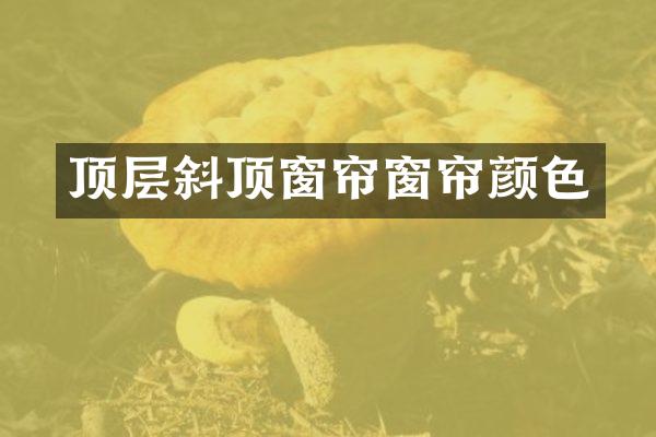 顶层斜顶窗帘窗帘颜色
