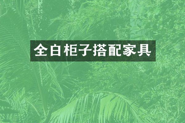 全白柜子搭配家具