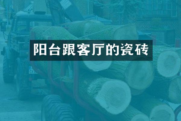 阳台跟客厅的瓷砖