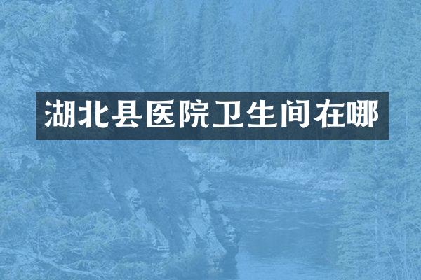 湖北县医院卫生间在哪