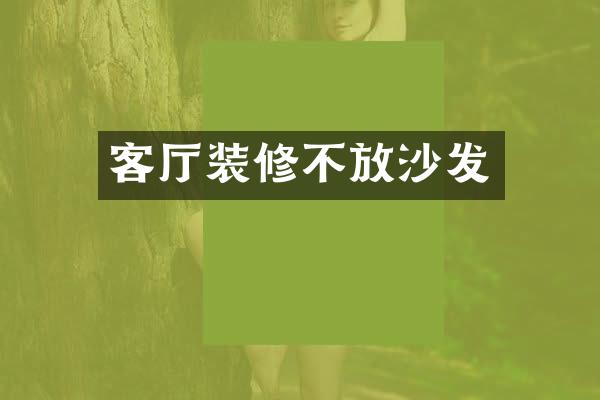 客厅装修不放沙发