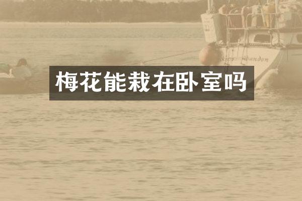 梅花能栽在卧室吗