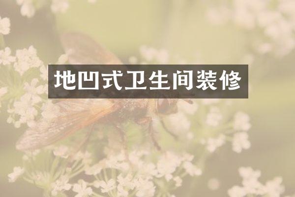 地凹式卫生间装修
