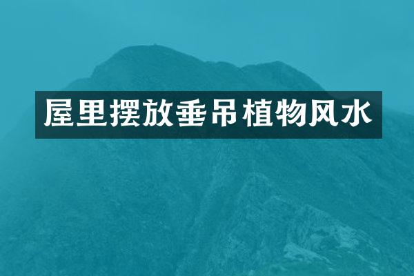 屋里摆放垂吊植物风水