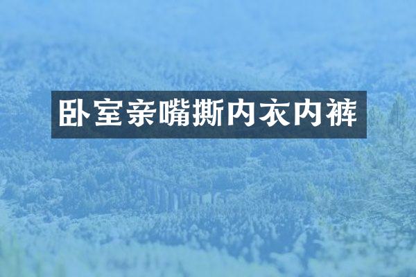 卧室亲嘴撕内衣内裤