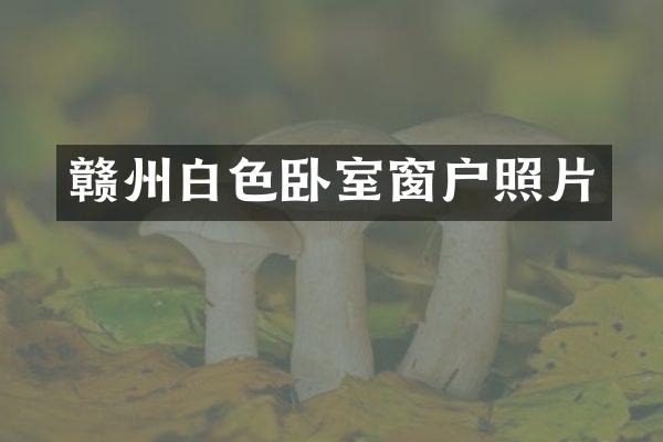赣州白色卧室窗户照片
