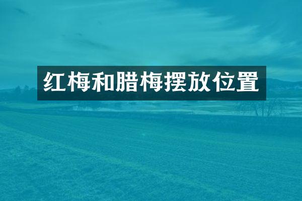 红梅和腊梅摆放位置