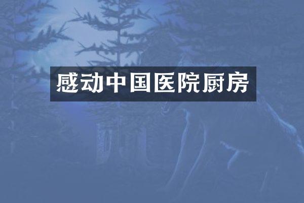 感动中国医院厨房