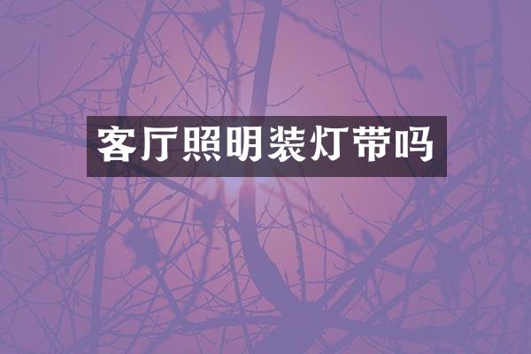 客厅照明装灯带吗
