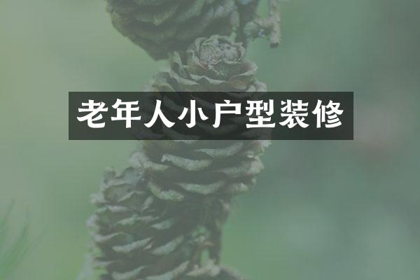 老年人小户型装修