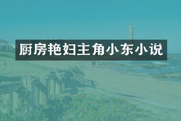 厨房艳妇主角小东小说