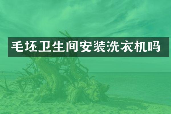 毛坯卫生间安装洗衣机吗