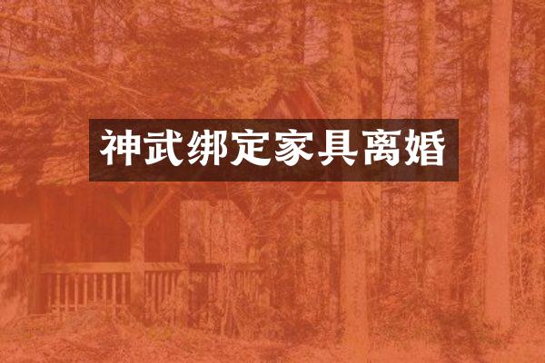 神武绑定家具离婚