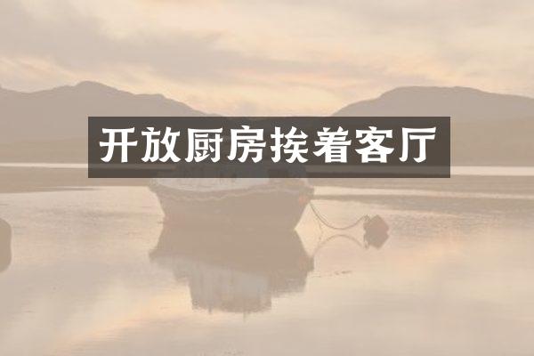 开放厨房挨着客厅