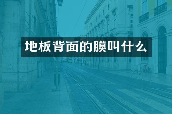 地板背面的膜叫什么